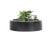 York Low 12" Round Small Planter