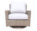 Riverside Lounge Swivel Glider