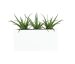 York 16" x 40" Trough Medium Planter