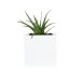 York 20" Square Medium Planter