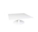 Origin 42 Square Pedestal Coffee Table Carrara White / White