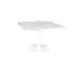 Origin 42 Square Pedestal Dining Table Carrara White / White
