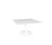 Origin 42 Sq Pedestal Tea Table CWwh